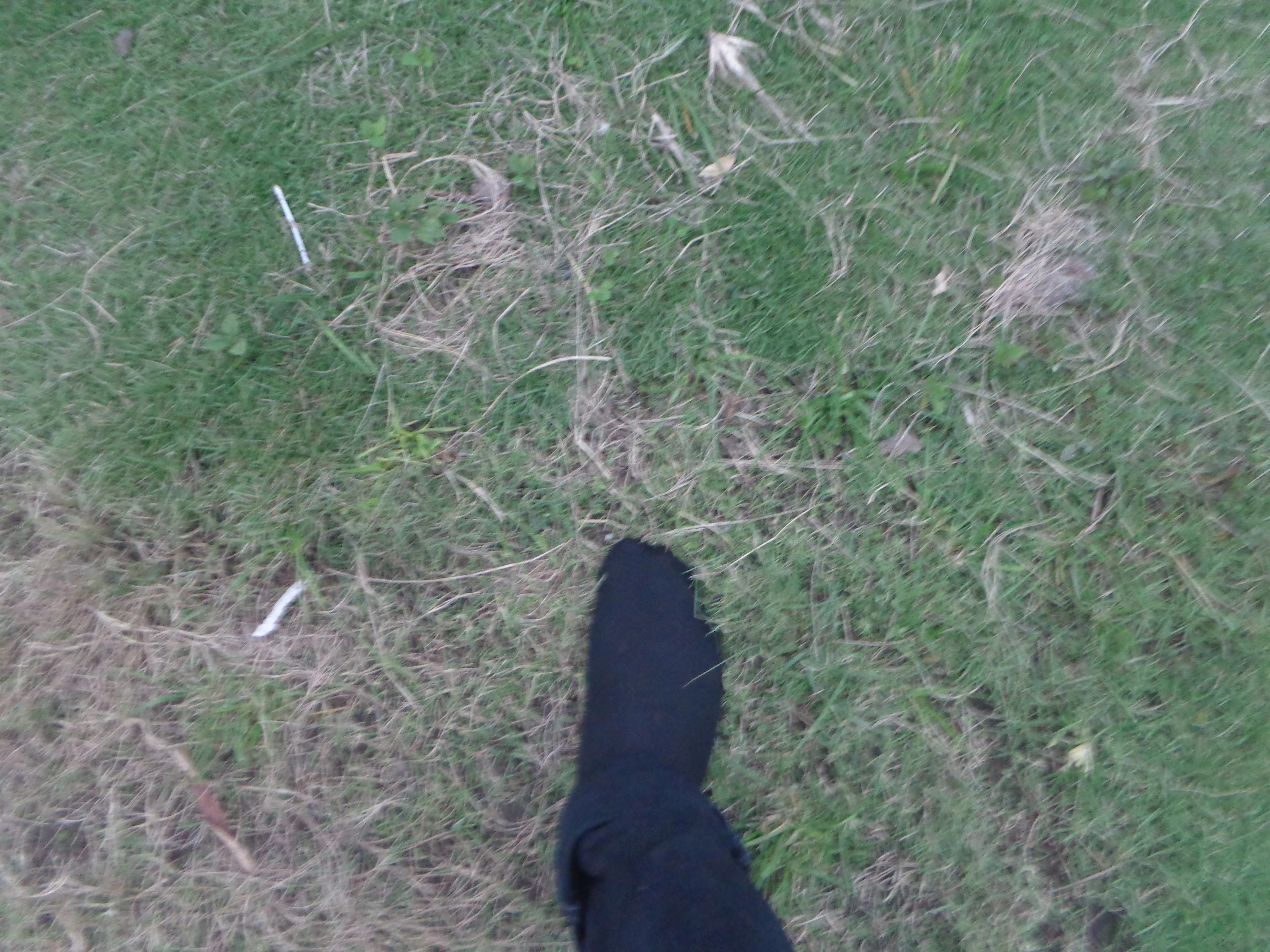 Foot on dying grass
